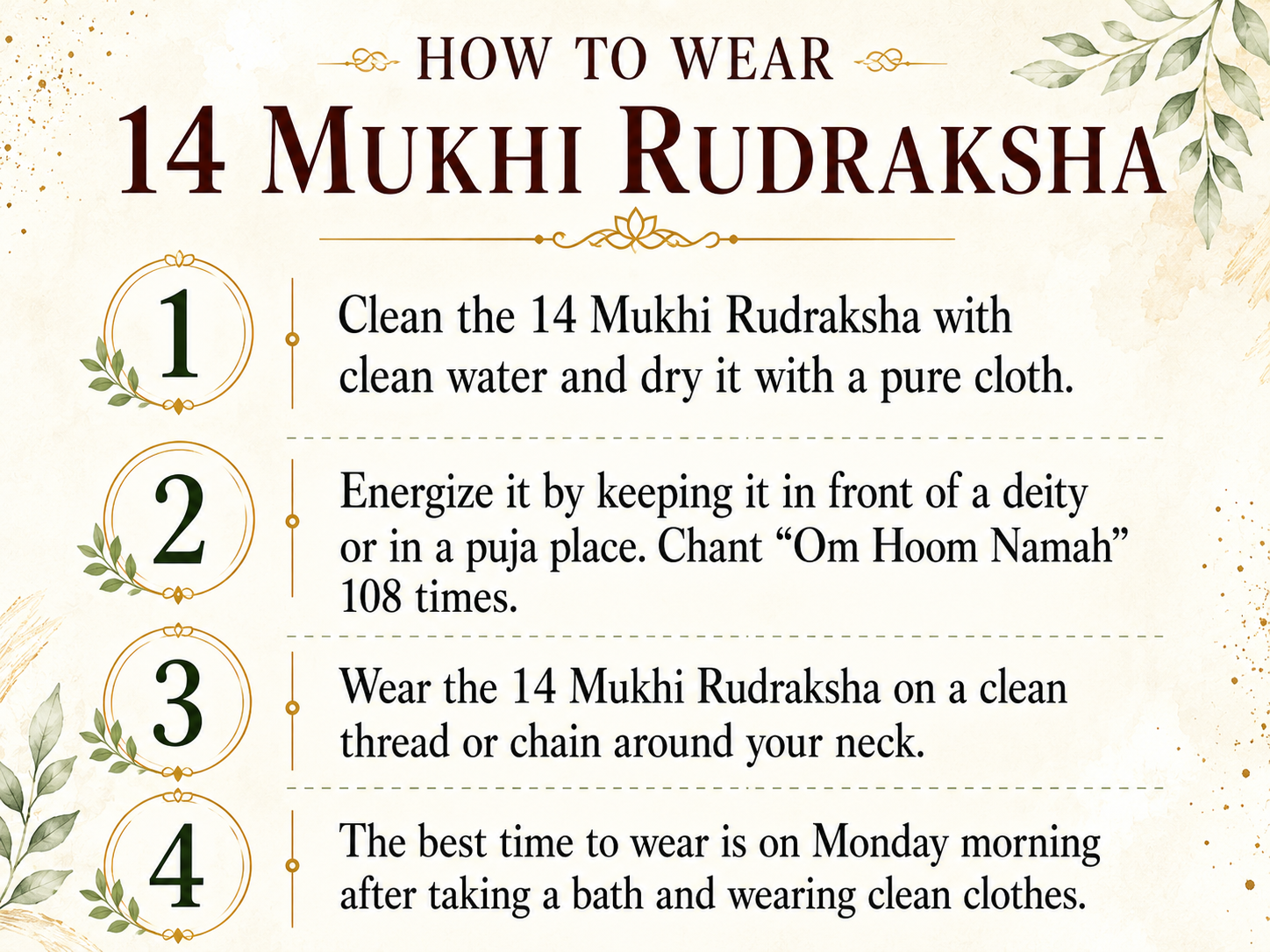 14 Mukhi Rudraksha (Nepal Origin)